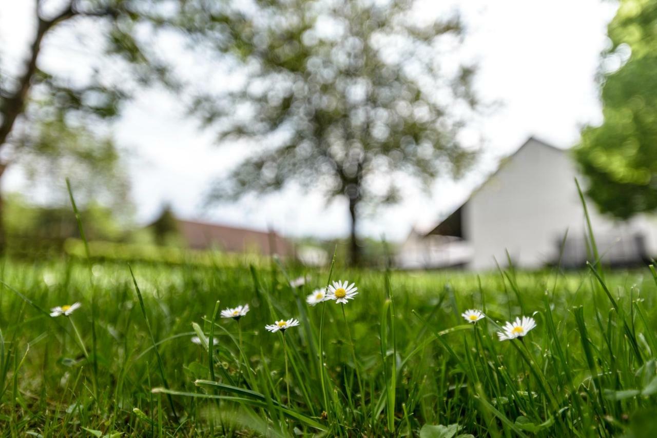 Nengshof Ferienwohnung Wildrose Wißmannsdorf 外观 照片